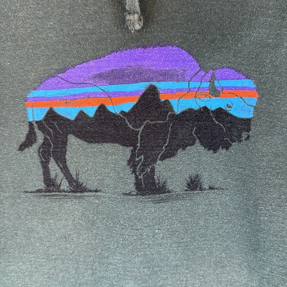 Patagonia Buffalo graphic Men's Large Green long sleeve Hoodie kangaroo pocket - Picture 2 of 13